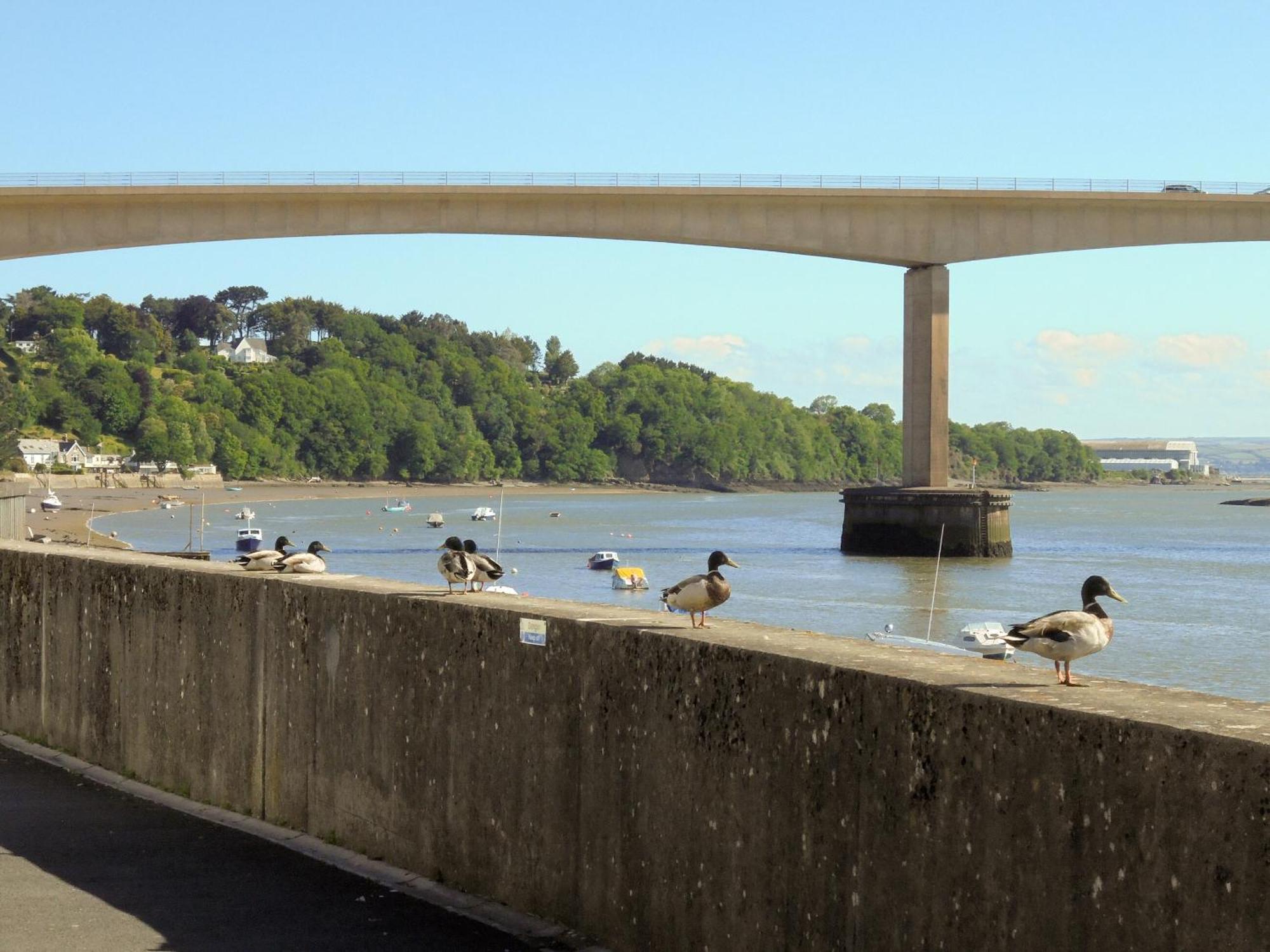 Riverside Mews Bideford Exterior foto